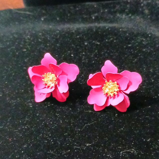 Earrings 9$